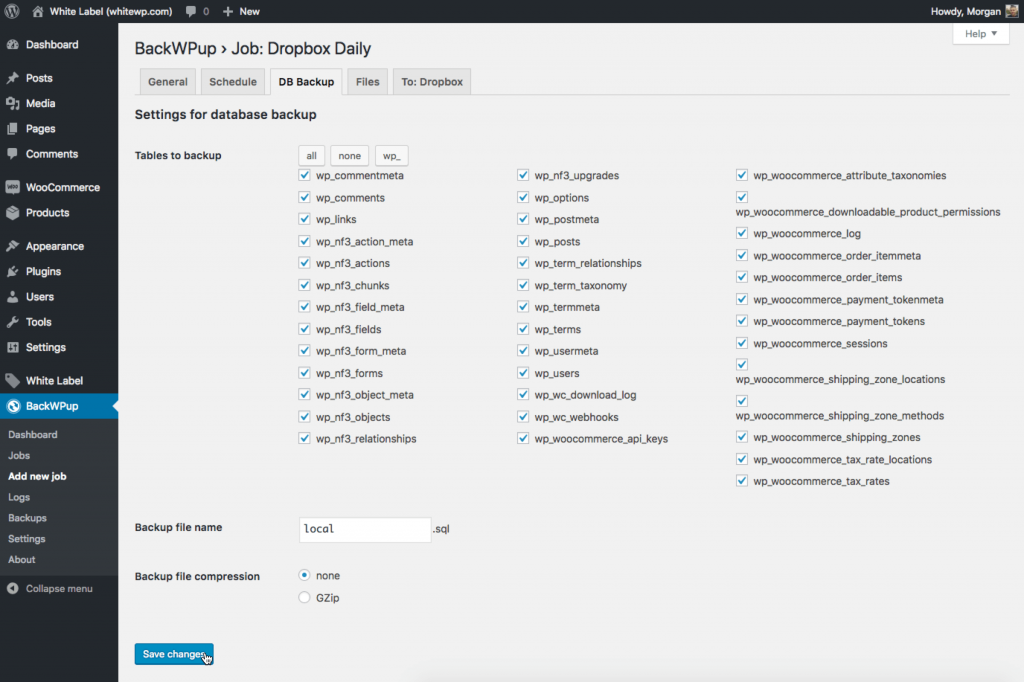 WordPress database backup Dropbox