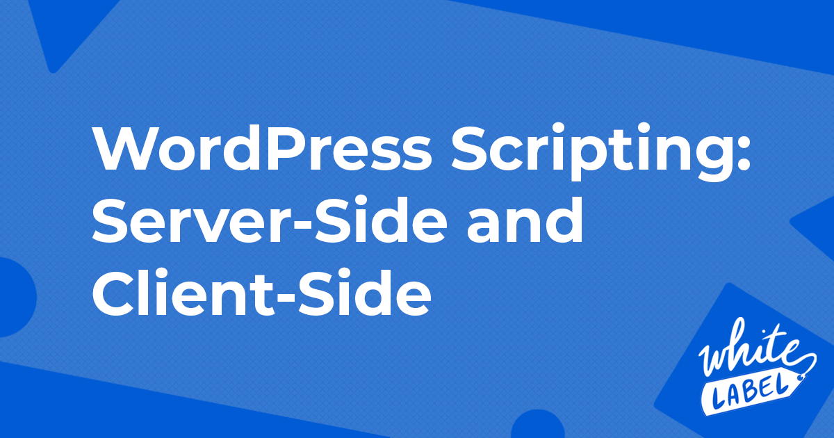 WordPress Scripting: Server-Side and Client-Side
