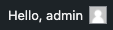 Screenshot of WordPress Hello, admin Text